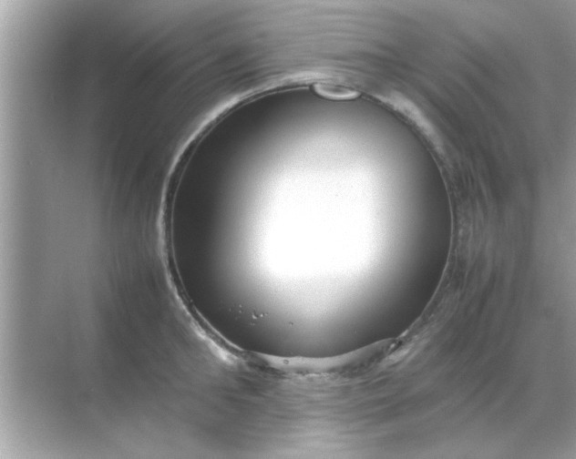 X0000070850902200606302017