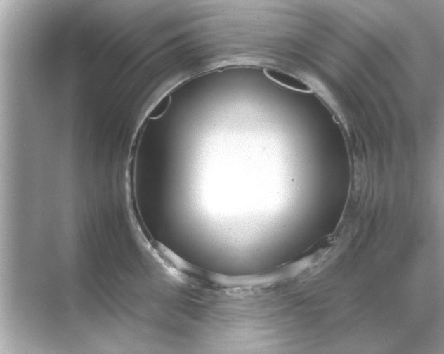 X0000070850906200606302017