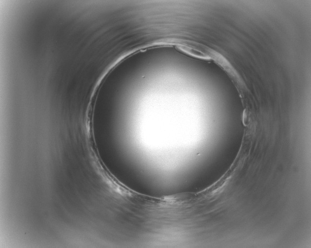 X0000070850908200606302017