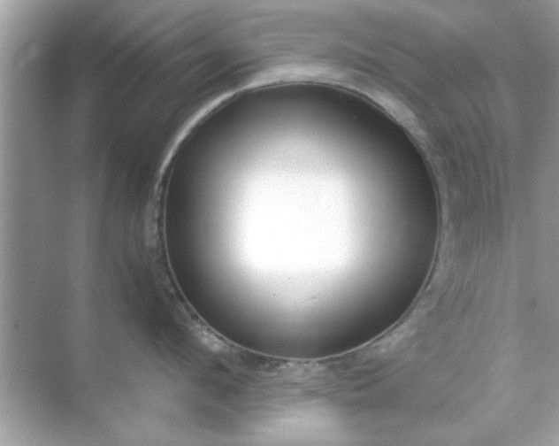 X0000070850912200606302017