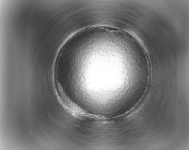 X0000070850949200606302016