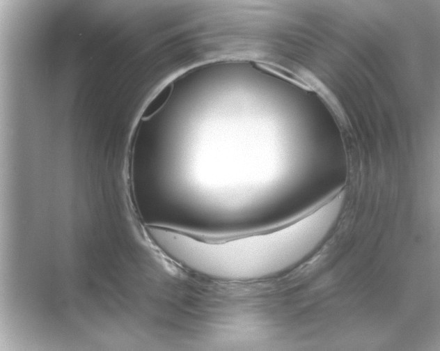 X0000070850956200606302016