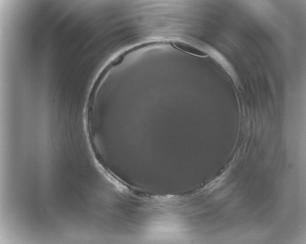 X0000070850958200606302016