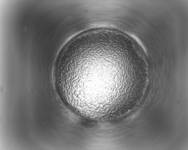 X0000070850983200606302015