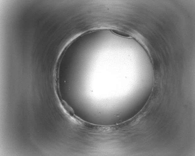 X0000070851003200606302015