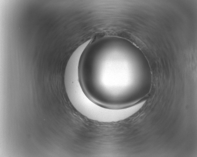 X0000070851010200606302014