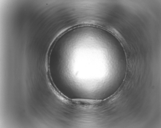 X0000070851036200606302015