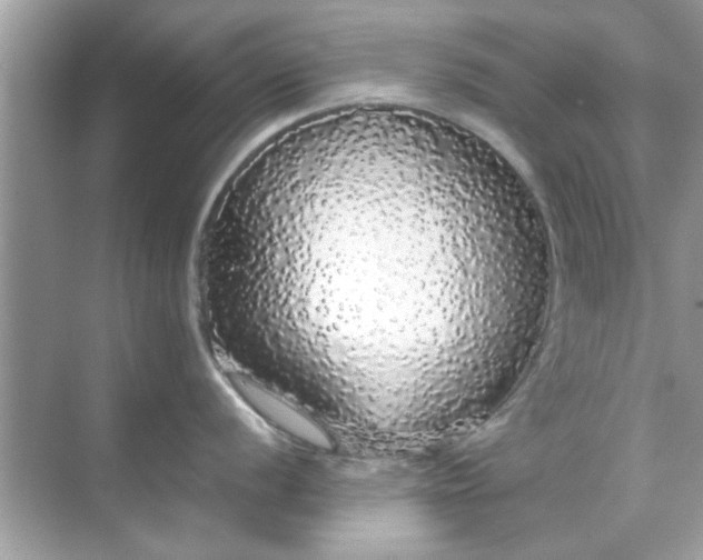 X0000070851056200606302015