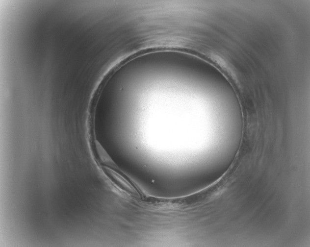 X0000070851085200606302014