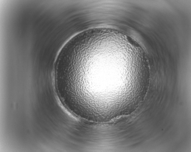 X0000070851092200606302013