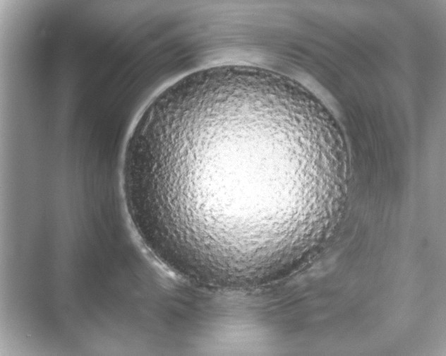 X0000070851104200606302013