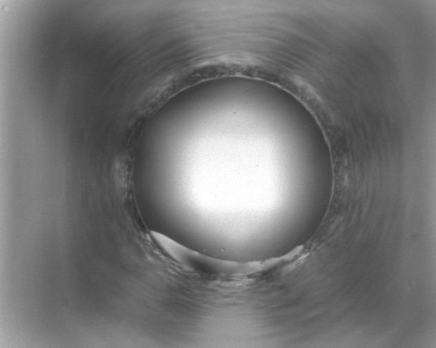 X0000070851110200606302013