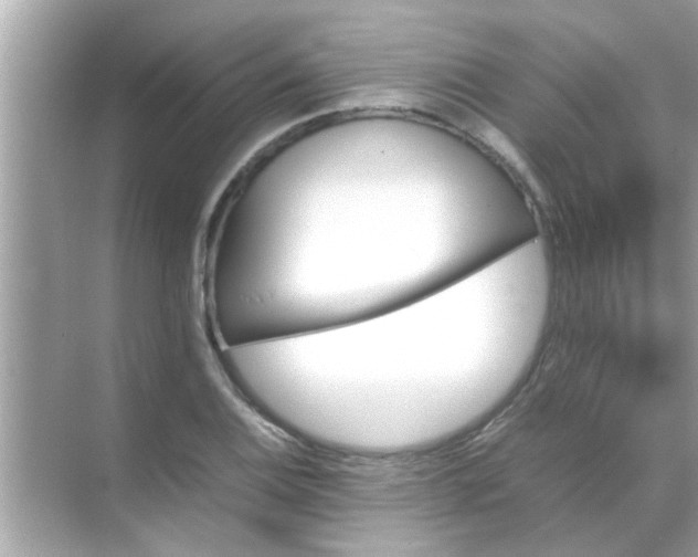 X0000070851124200606302013