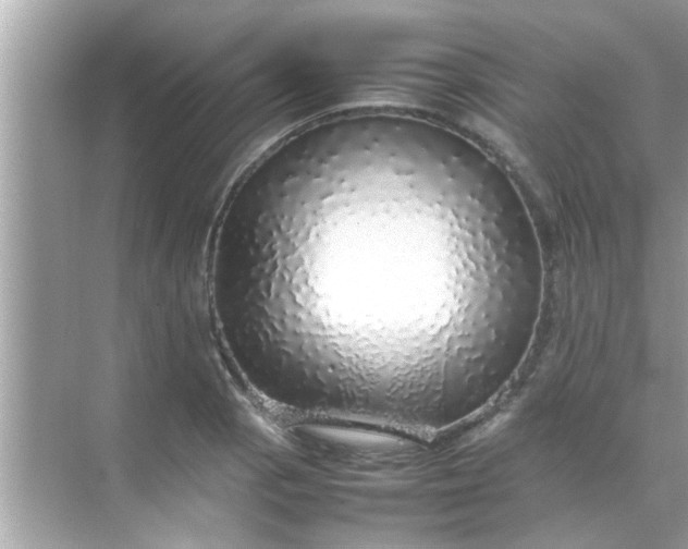 X0000070851129200606302013