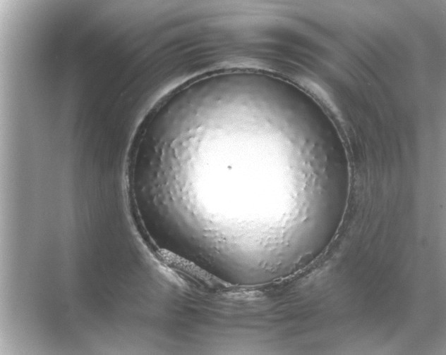 X0000070851133200606302013