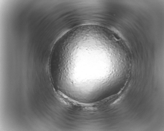 X0000070851137200606302013