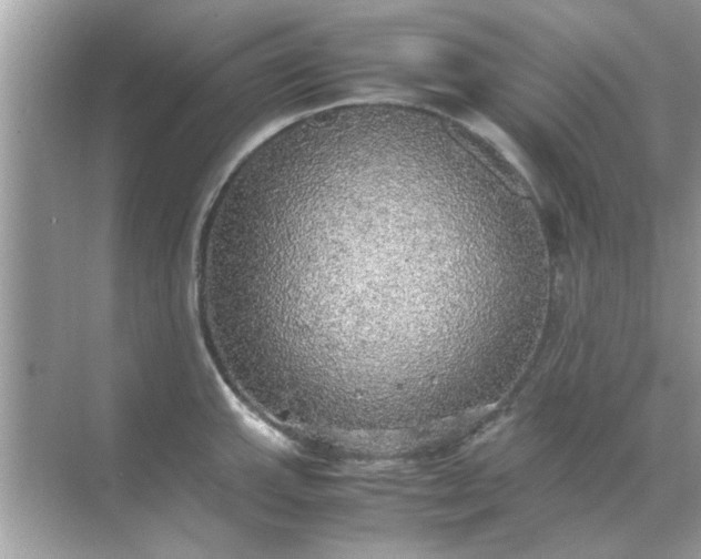 X0000070851143200606302013