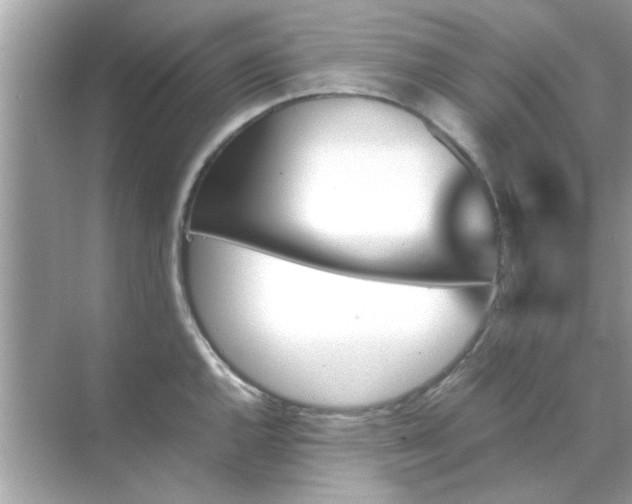 X0000070851144200606302013