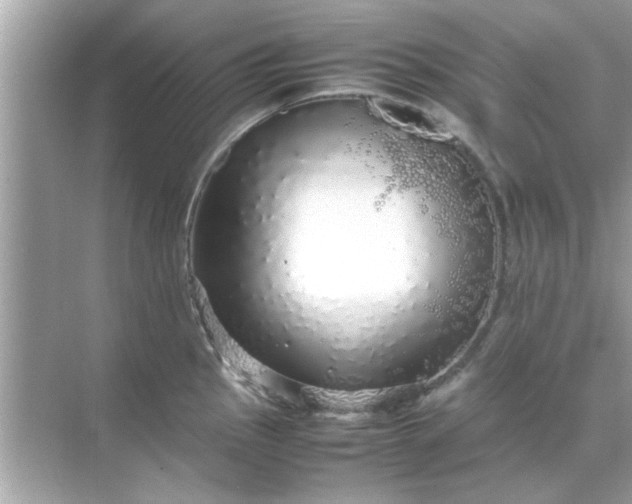 X0000070851145200606302013
