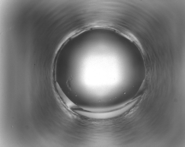 X0000070851146200606302013