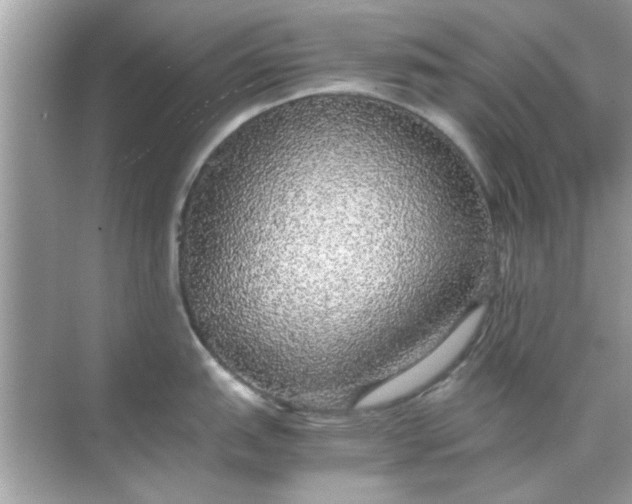 X0000070851151200606302013