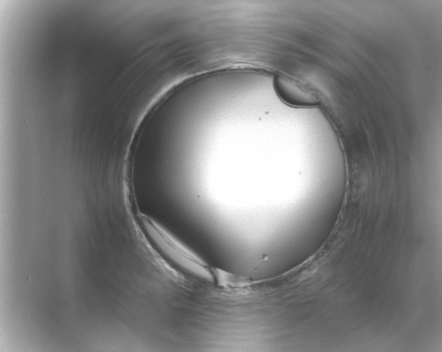 X0000070851182200606302012