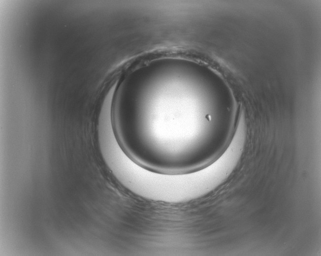 X0000070851206200606302011