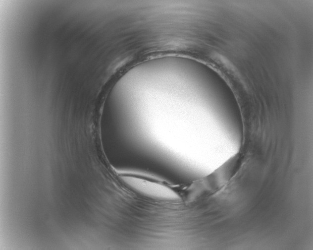 X0000070851210200606302011