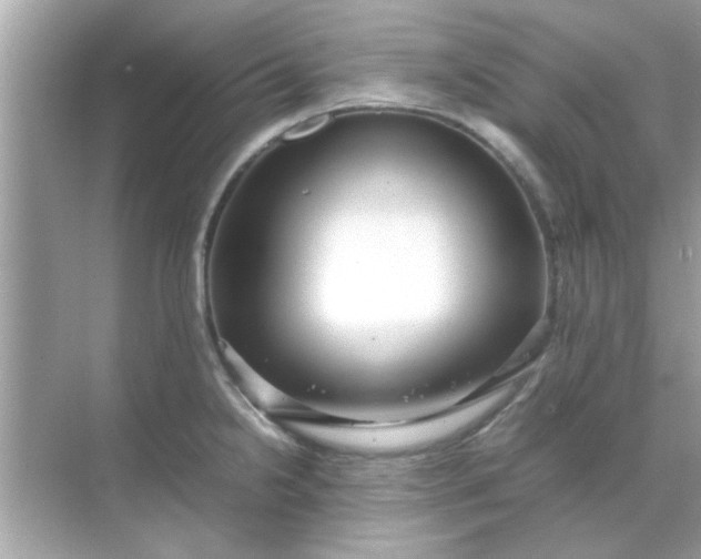 X0000070851238200606302011