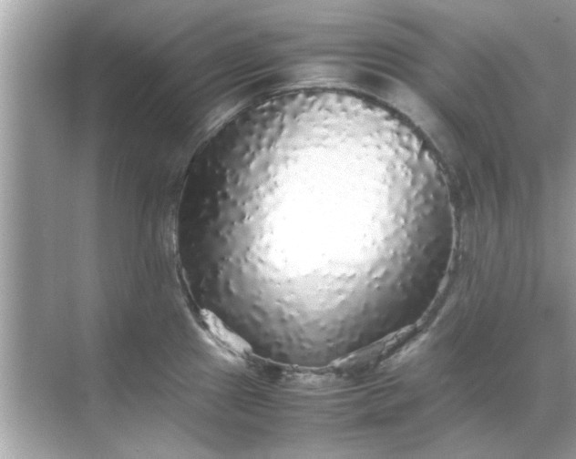 X0000070851241200606302012