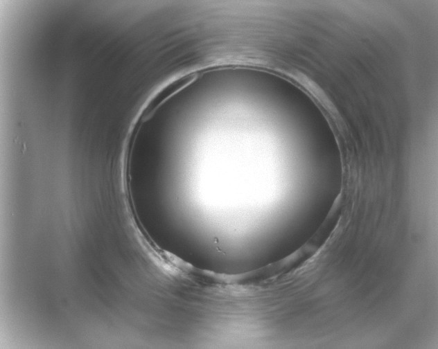 X0000070851246200606302012