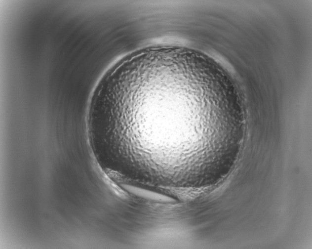 X0000070851248200606302012