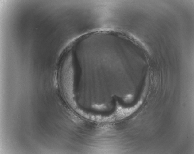X0000070851262200606302011