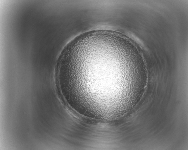 X0000070851264200606302011