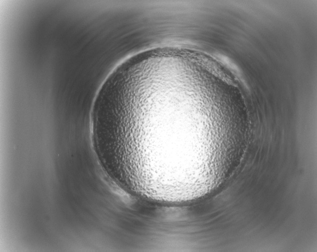 X0000070851280200606302010