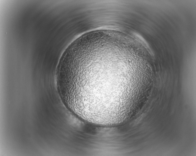 X0000070851284200606302010