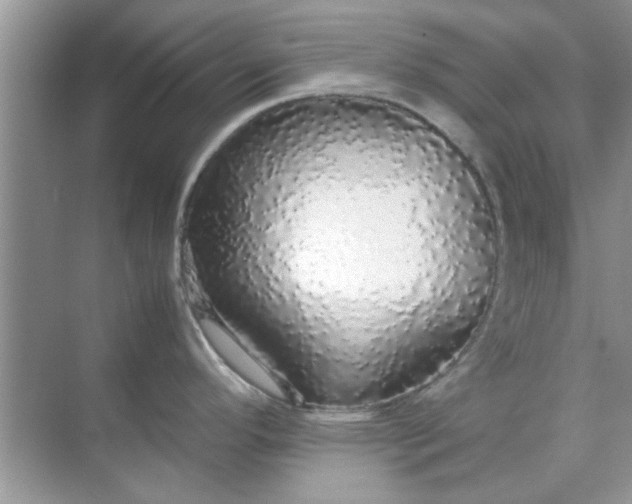 X0000070851296200606302010