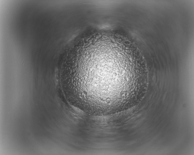 X0000070851301200606302009