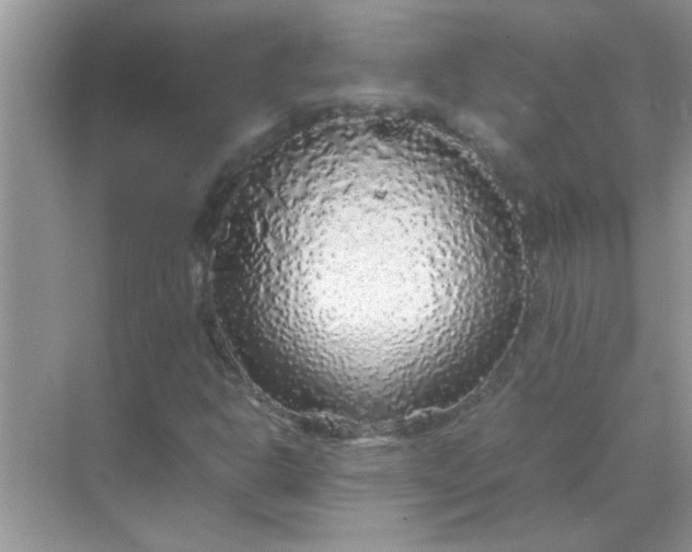 X0000070851302200606302009