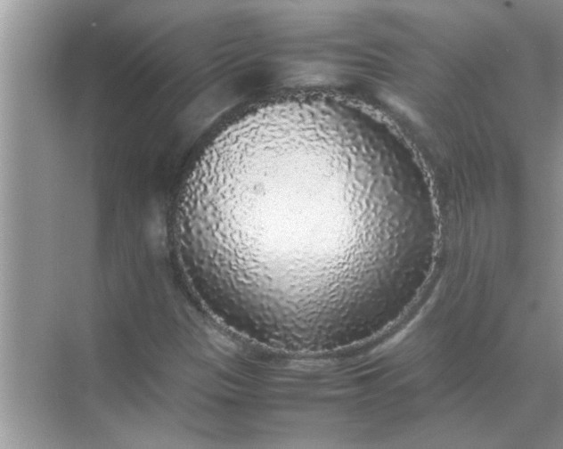 X0000070851305200606302009