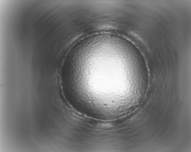 X0000070851313200606302009
