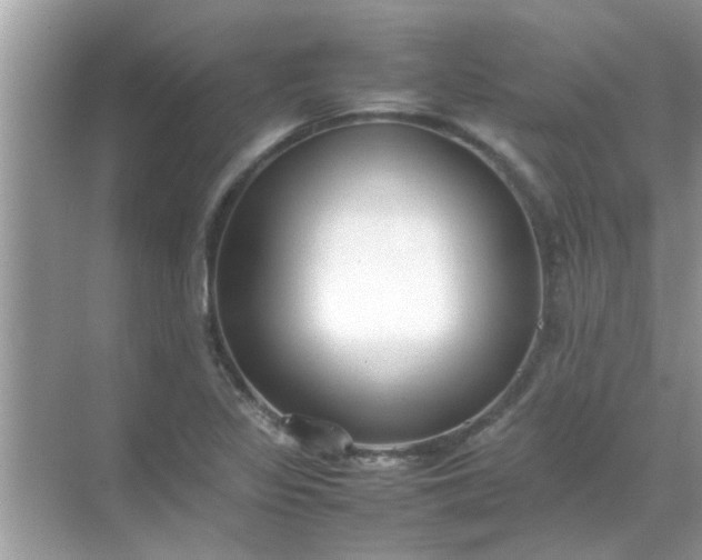 X0000070851317200606302010