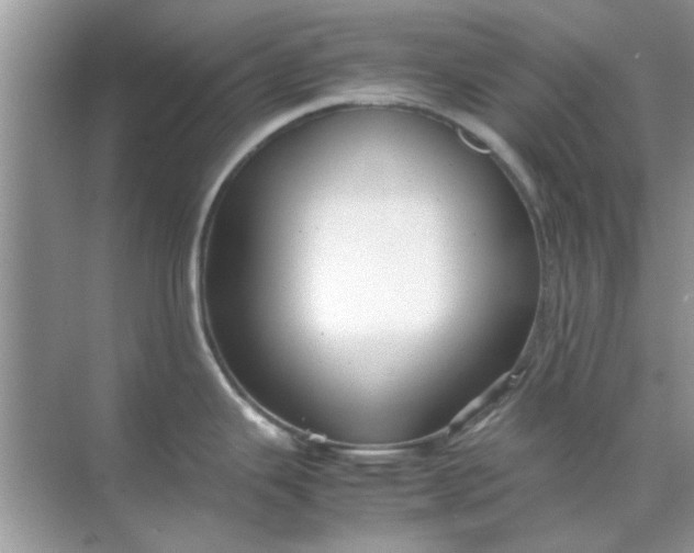 X0000070851343200606302010