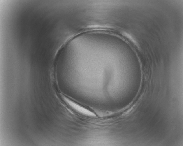 X0000070851357200606302009