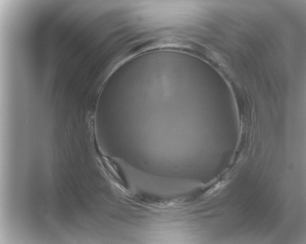 X0000070851369200606302009