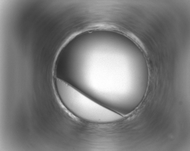 X0000070851381200606302009