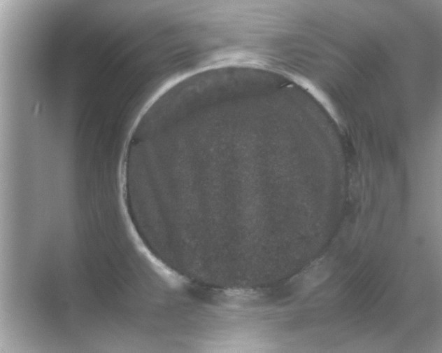X0000070851383200606302009