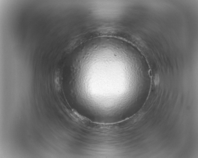 X0000070851396200606302008