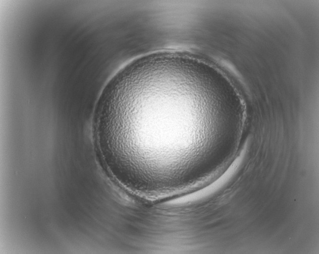 X0000070851412200606302008