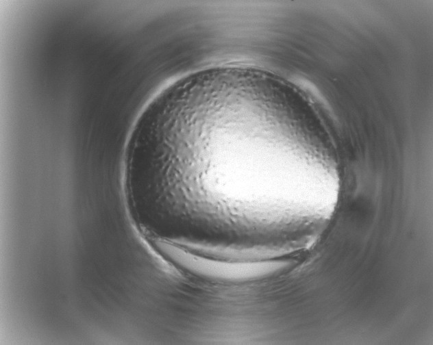 X0000070851424200606302008